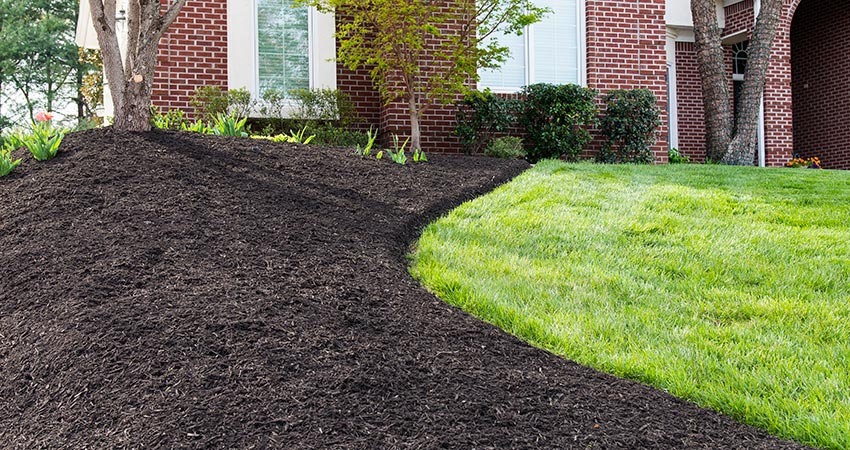 Mulch installation service
